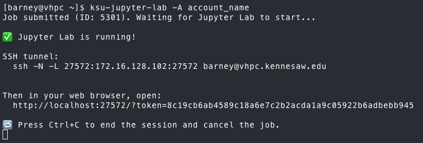 ksu-jupyter-lab Output