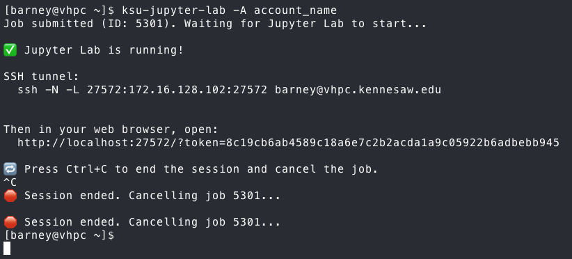 ksu-jupyter-lab Output
